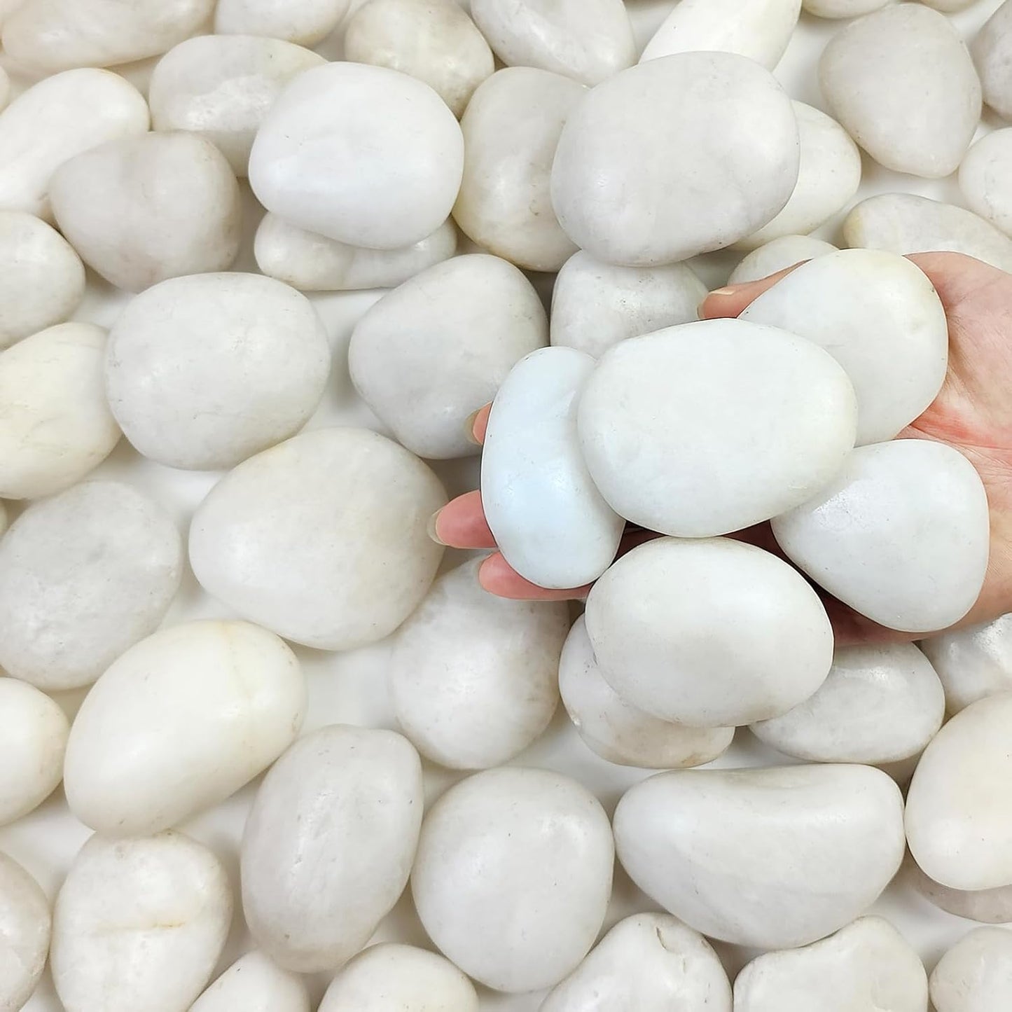 10 lbs Large River Rocks for Landscaping, 2-3 inch Polished White Pebbles for Plants, Decorative White Stones for Planters Vase Aquarium and Outdoor Garden Rocks