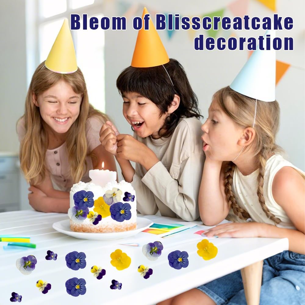 48Pcs 8 Kinds Natural Dried Pressed Edible Flowers for Cake Topper Decorating - Mix Viola Tricolor for Cocktails Cupcake Toppers, Resin DIY Art Jewelry Candle & Soap Making