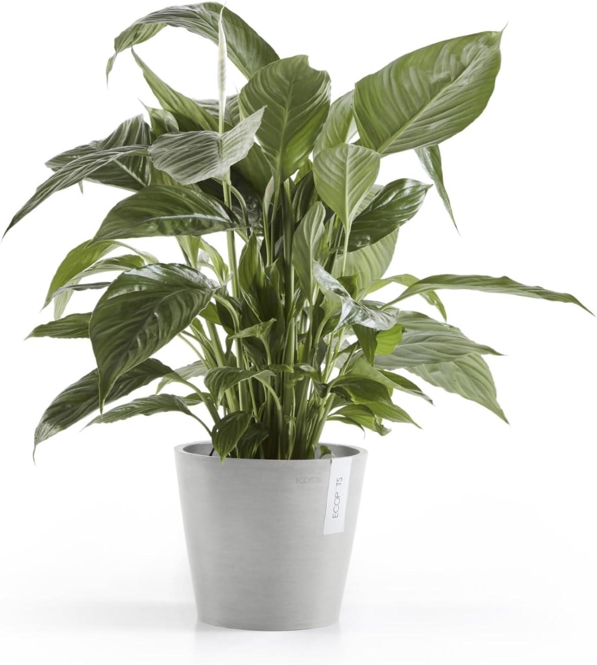 Ecopots Amsterdam Durable Modern Round Indoor/Outdoor Recycled-Based Composite Flower Pot Planter, White Grey, 8"