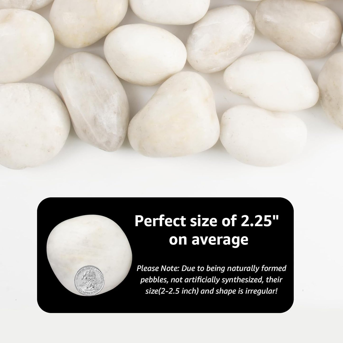Natural Polished White River Rocks, 2-2.5 inches, 20 lbs - Suitable for River Rocks in Landscaping, Aquariums, and Drainage for Garden and Indoor Plants (White, Weight: 20 LB)