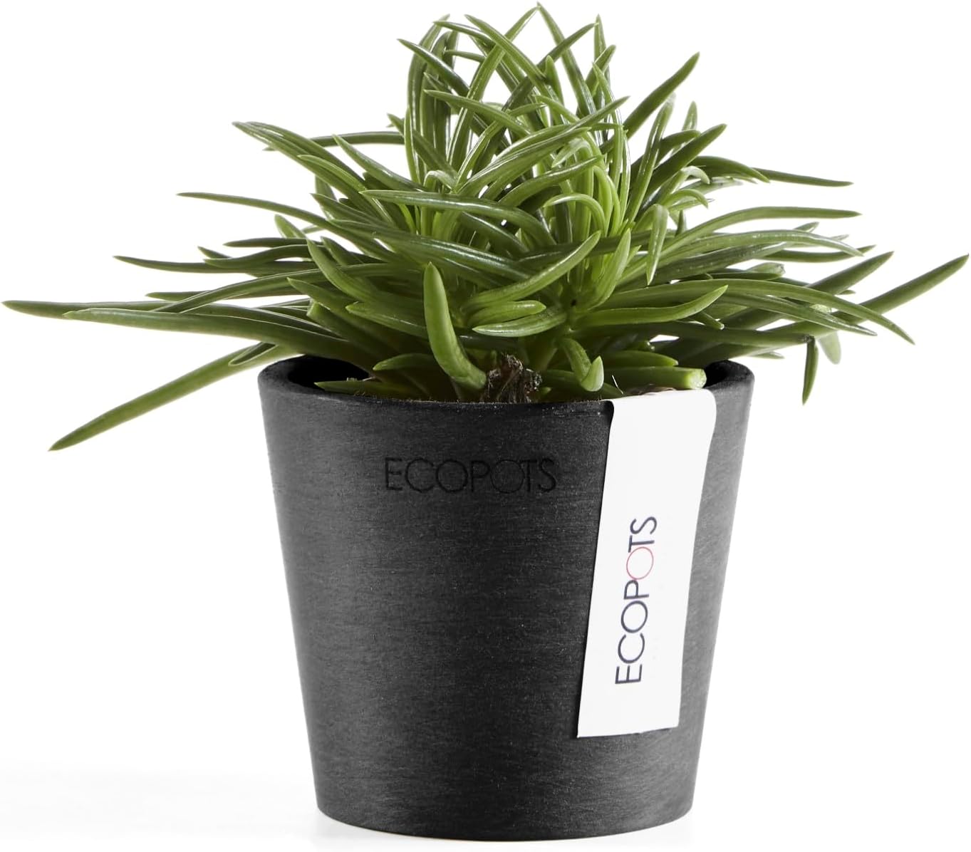 Ecopots Amsterdam Mini Durable Modern Round Recycled-Based Composite Flower Pot Planter, Dark Grey, 3"