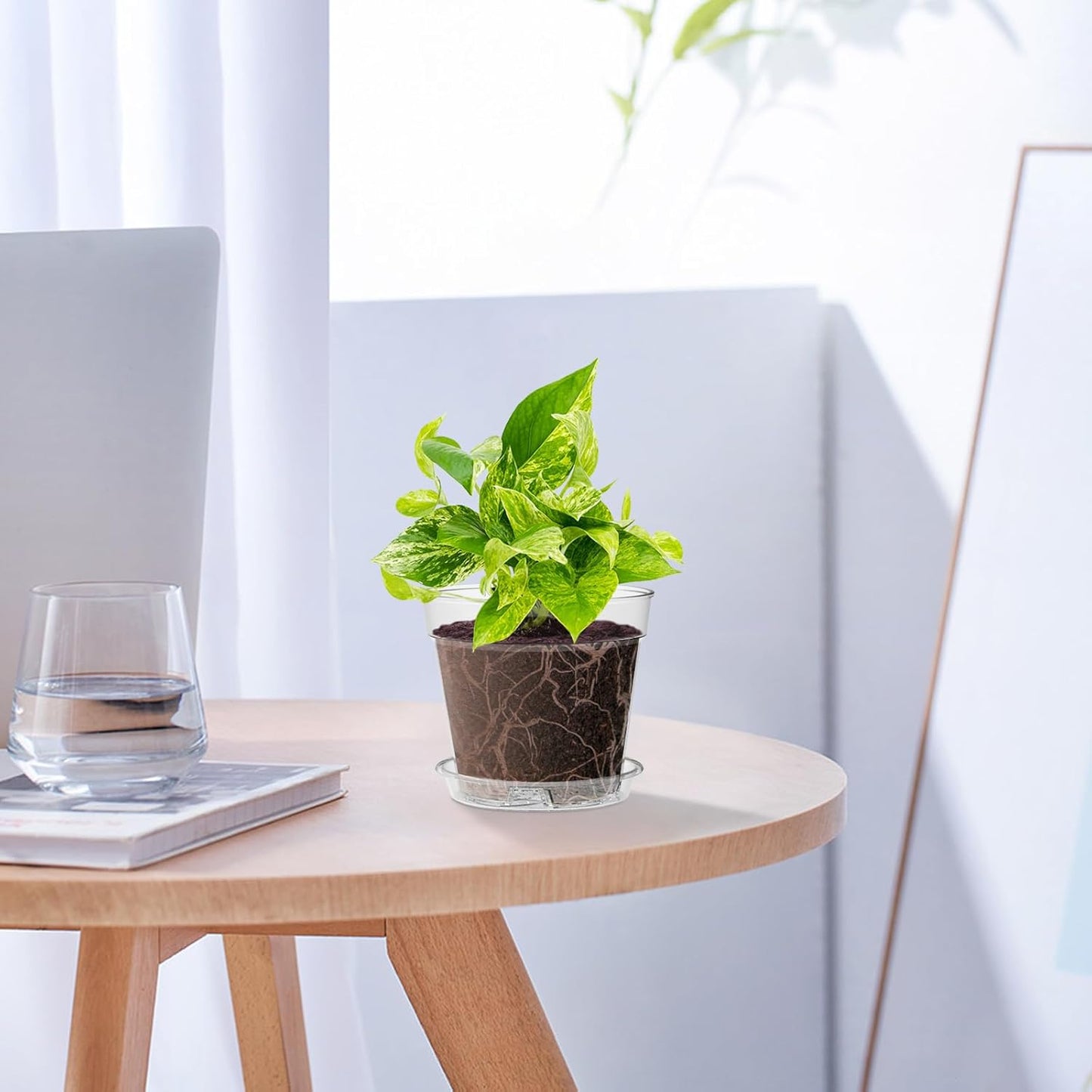 4 Inch Clear Nursery Pots, 8 Pack Highly Transparent Plant Pots for Small Indoor Plants with Drainage Holes and Trays, Plastic Seedling Starter Planters for Flowers