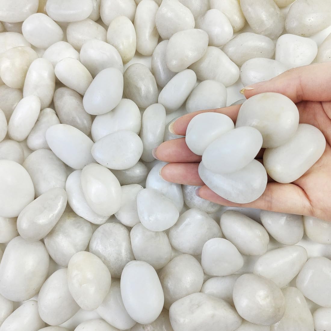 2lbs Small White Pebbles for Plants, 0.8-1.2 inch Decorative River Rocks for Plants, Aquariums, Landscaping. White Stones for Planter Vase and Outdoor Garden Rocks