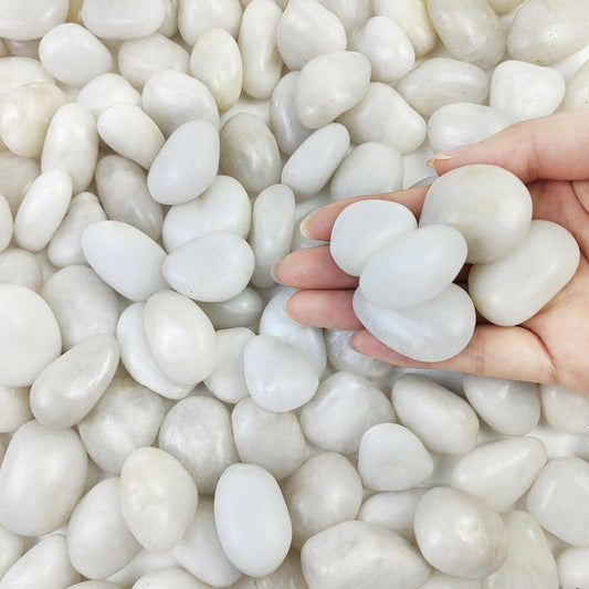 2lbs Small White Pebbles for Plants, 0.8-1.2 inch Decorative River Rocks for Plants, Aquariums, Landscaping. White Stones for Planter Vase and Outdoor Garden Rocks