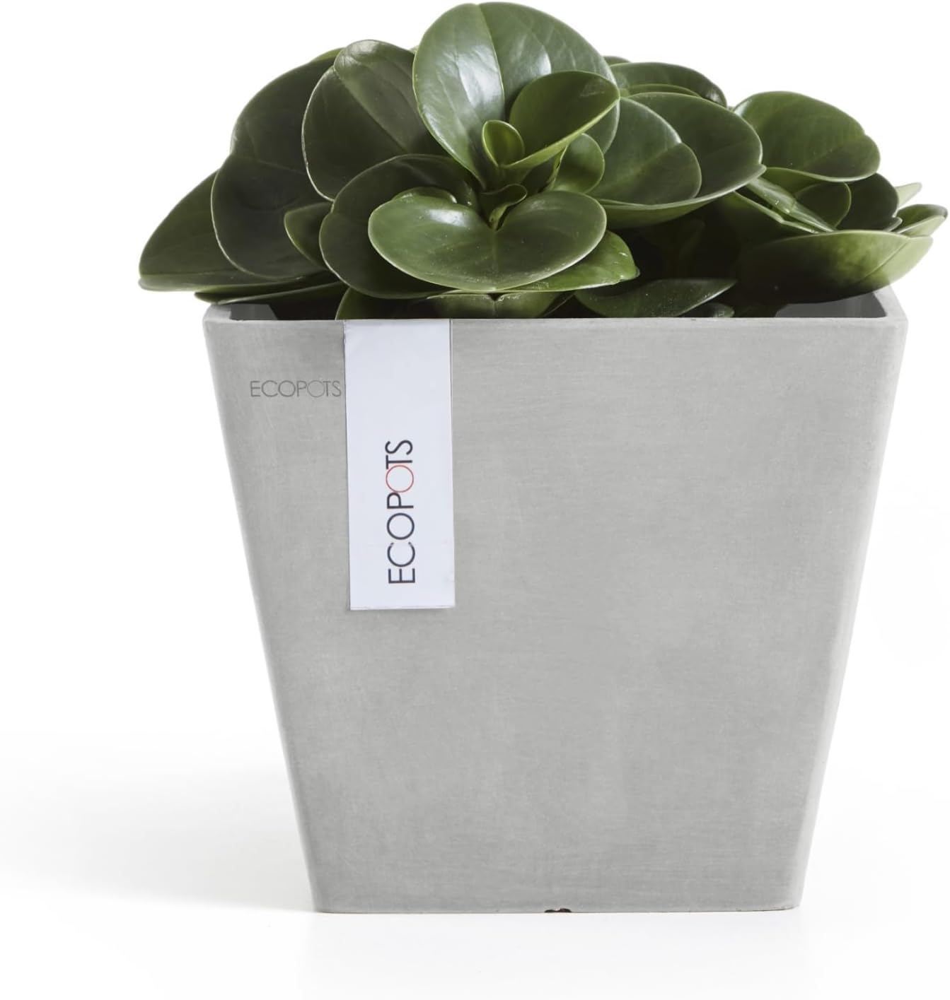 Ecopots Rotterdam Durable Modern Square Indoor/Outdoor Recycled-Based Composite Flower Planter, White Grey, 8"