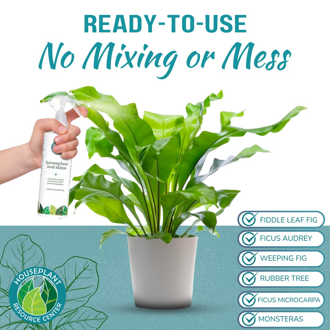 Houseplant Leaf Shine Spray – All-Natural Leaf Cleaner and Gloss for Healthy Shine & Better Photosynthesis | Perfect for House Plants and Foliage | 8 oz