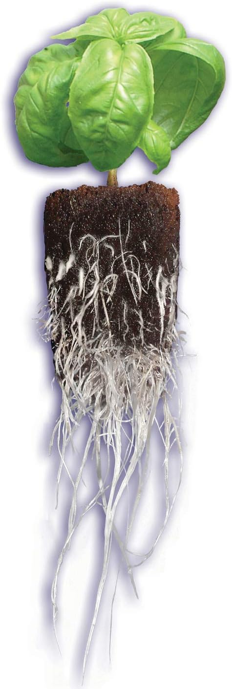 General Hydroponics Rapid Rooter, Starter Plug for Seeds or Cuttings, Great for Soil or Hydroponics Growing System, 50 Plugs