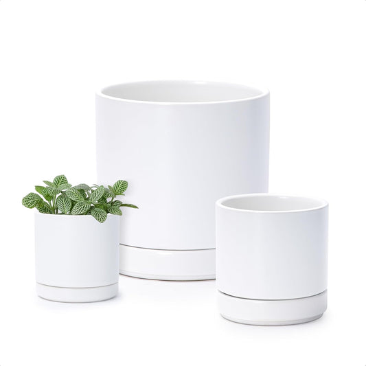 D'vine Dev 3 Inch & 4 Inch & 6 Inch, Set of 3 Round Ceramic Planter Pot with Drainage Hole and Saucer, White, 94-T-S-1