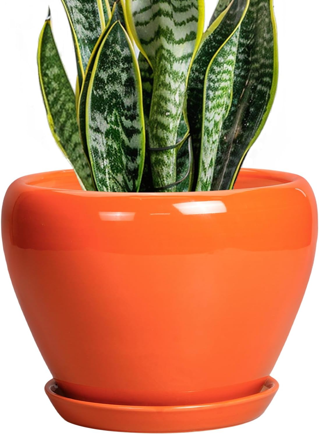 Indoor Plant Pot 8 Inch - Ceramic Plant Pot with Drainage Hole and Saucer, Glaze Decorative Modern Round Planter for Outdoor Plants, Housewarming Gifts, Office Home Garden Decor, Orange