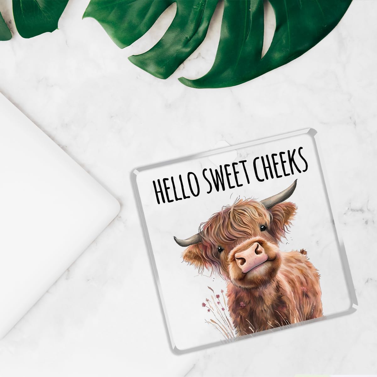Highland Western Cow Bathroom Decor Gifts,Hello Sweet Cheeks Funny Acrylic Sign Bathroom Decor for Western & Highland Cow Lovers Gifts for Coworker, Friends, Boss, Men, Women 4x4 Inch