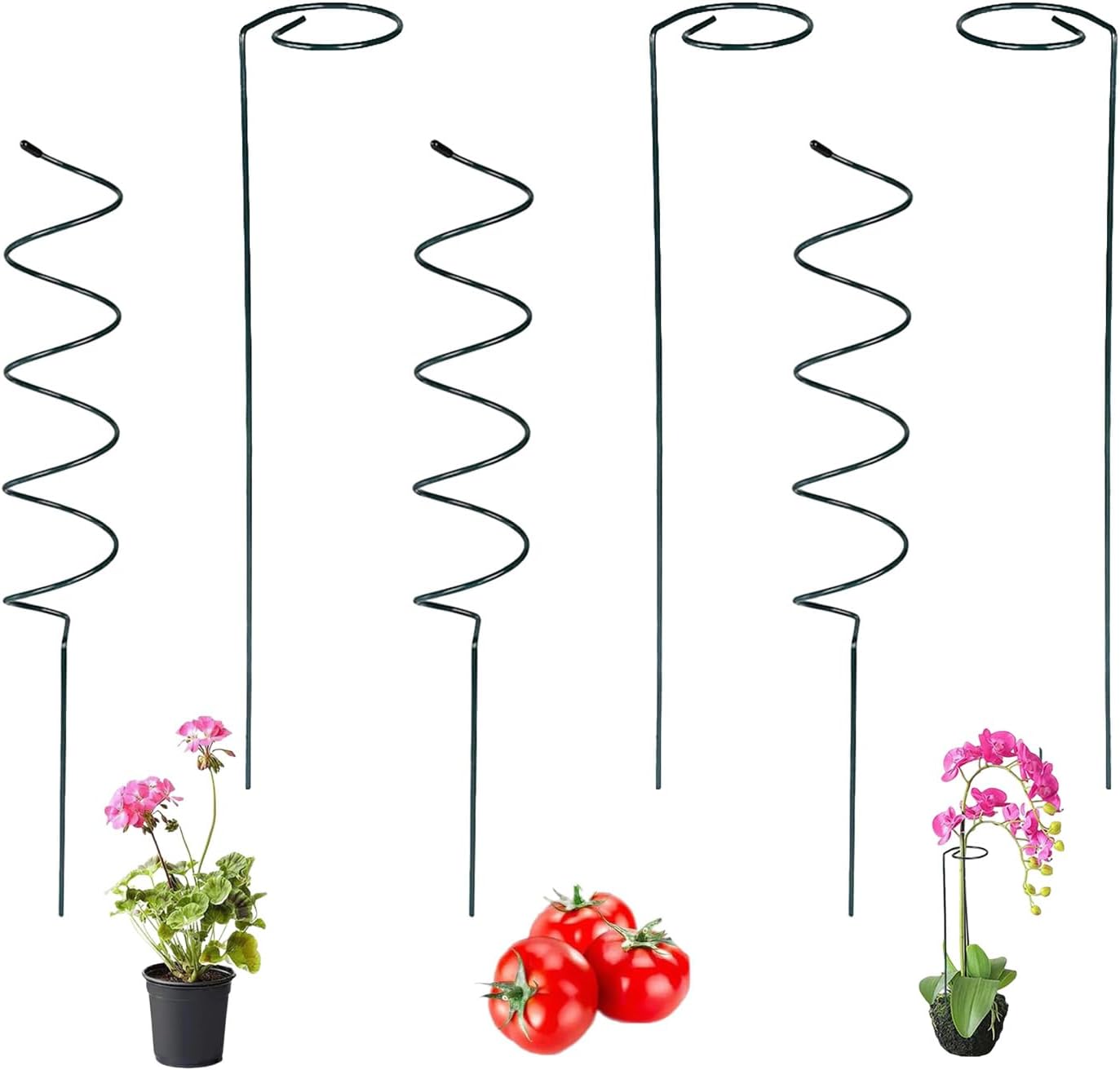 15.75″ Spiral Tomato Plant Stake, Small Spiral Plant Support, Garden Twist Stick for Climbing Plants, Indoor/Outdoor Plant and Rose