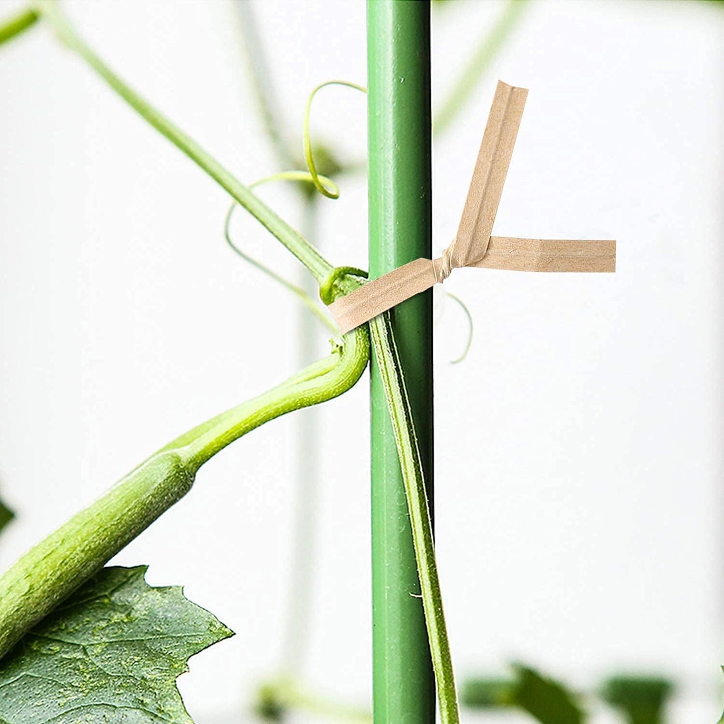 1000 Pcs Twist Ties, Kraft Paper Twist Ties Plant Ties Reusable Bread Ties for Party Cello Candy Coffee Treat Bags Cake Pops (6")