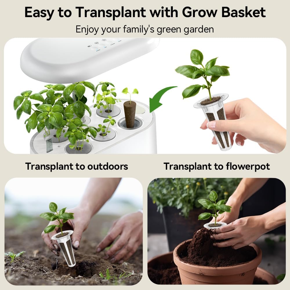 inbloom Gourmet Herb Seed Pod Kit for AeroGarden, iDoo, Ahopegarden with Basil, Parsley, Cilantro, Chrysanthemum, Pak Choi, Crystalline Ice Plant, Onion, Hydroponics Growing System Supply (12-Pod)