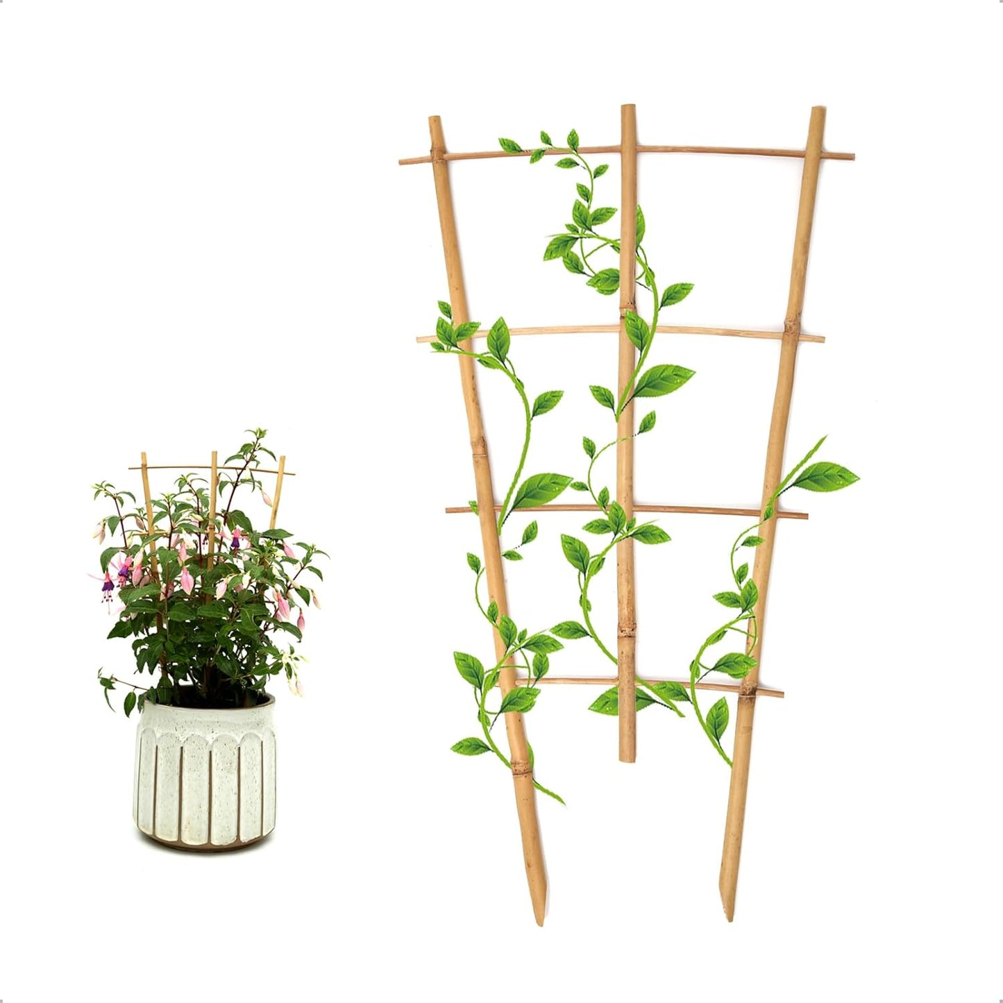 3Pack Bamboo Trellis 16 Inch Fan Shaped Small Plant Trellis for Indoor Potted Plants Climbing Monstera Orchid Vine Hoya Houseplant