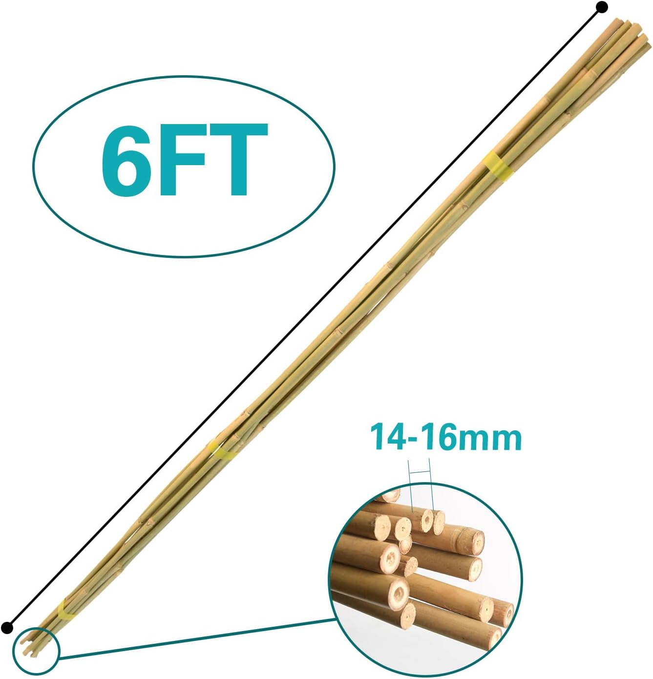 Bamboo Stakes 6 Feet 20pcs, 72" Garden Stakes Multi-Purpose, Bamboo Plant Support Stakes for Tomatoes, Beans, Cucumbers, Peppers, Potted Trees, Maintain The Plant Posture, Strengthen and Stem