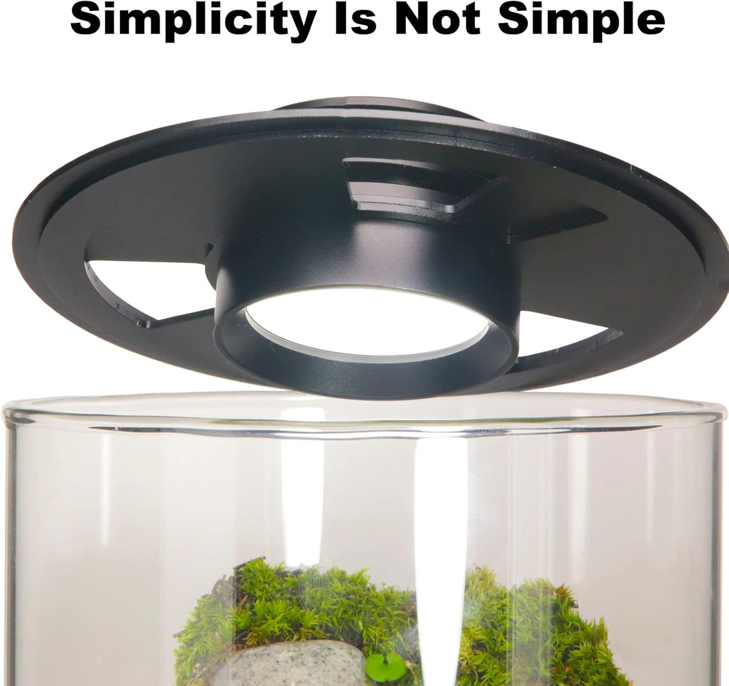 Desktop Glass Plant Terrarium with Grow Light (H:9.8" D:5.9"), for Succulent, Moss, Miniature Gardening Landscape, Betta Fish Tank, Office Home Decoration, Plant Lovers Gifts