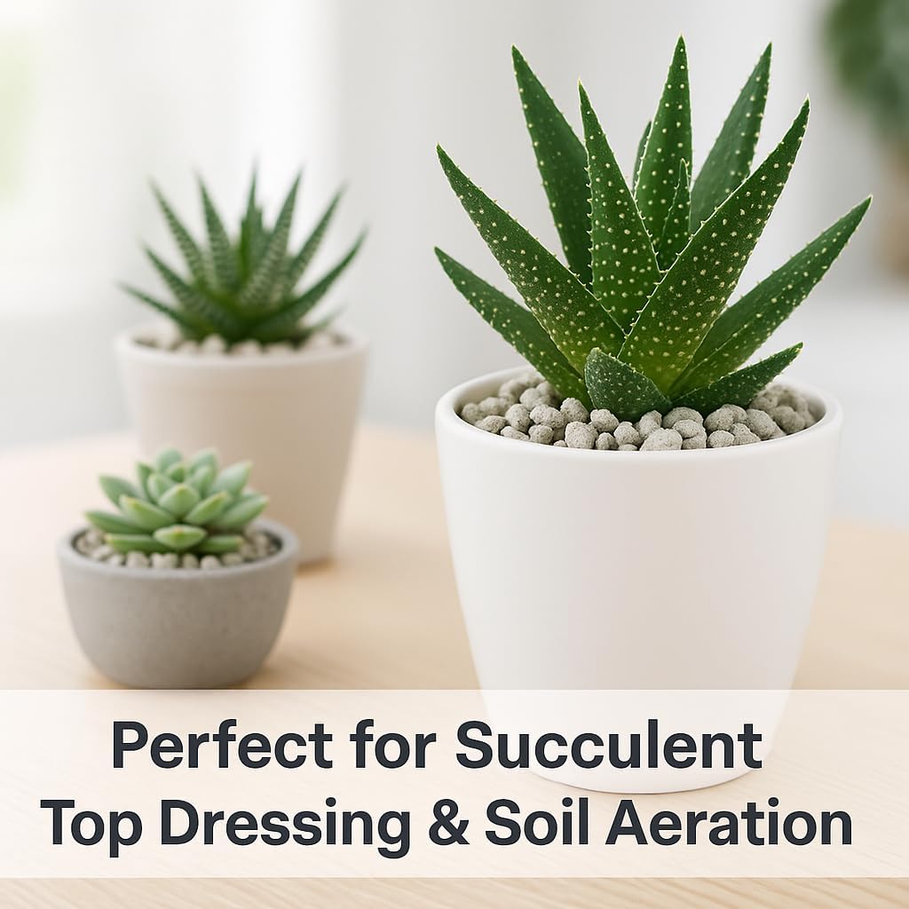 Horticultural Pumice for Plants, Natural Pumice Stone Soil Amendment, 3/8-1/4 inch, Made in USA (1 Quart - 0.9 lb)