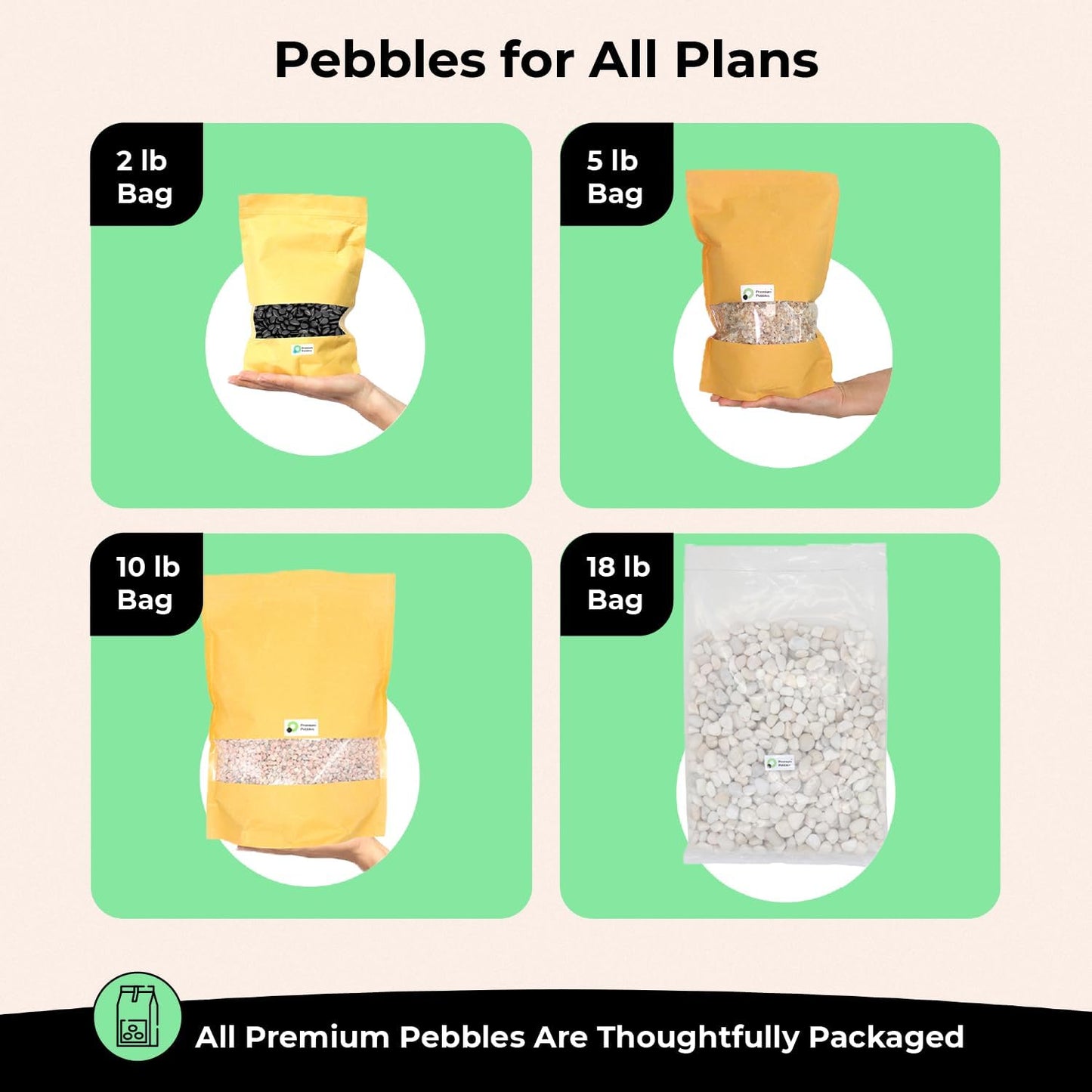 White Rocks for Plants & Garden. Decorative Polished Pebbles. 3/8 Inch 2lbs for Succulents, Vases & Pots (XSM (0.375 Inch), White - Lightly Polished, 2)