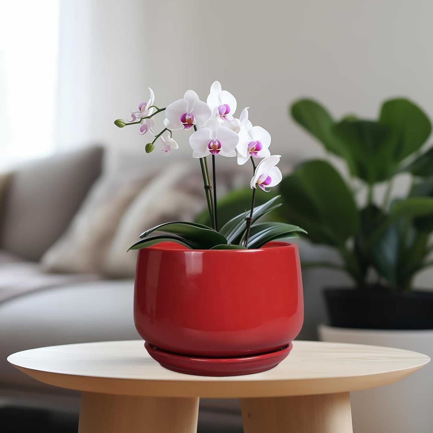 G EPGardening Ceramic Planter 7 Inch - Flower Pots for Indoor Plants, Round Planter with Drainage and Ceramic Tray, Modern Plant Pot, Bathroom Decor, Teacher Gifts, Red