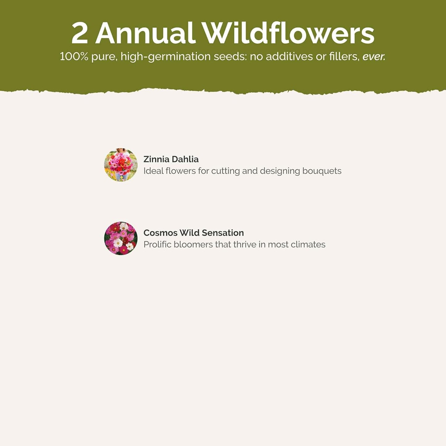 Eden Brothers Cosmic Zen Flower Mixed Seeds for Planting, 1/4 lb, 120,000+ Seeds with Zinnia Dahlia Flowered, Cosmos Sensation | Attracts Pollinators, Plant in Spring, Zones 3, 4, 5, 6, 7, 8, 9, 10