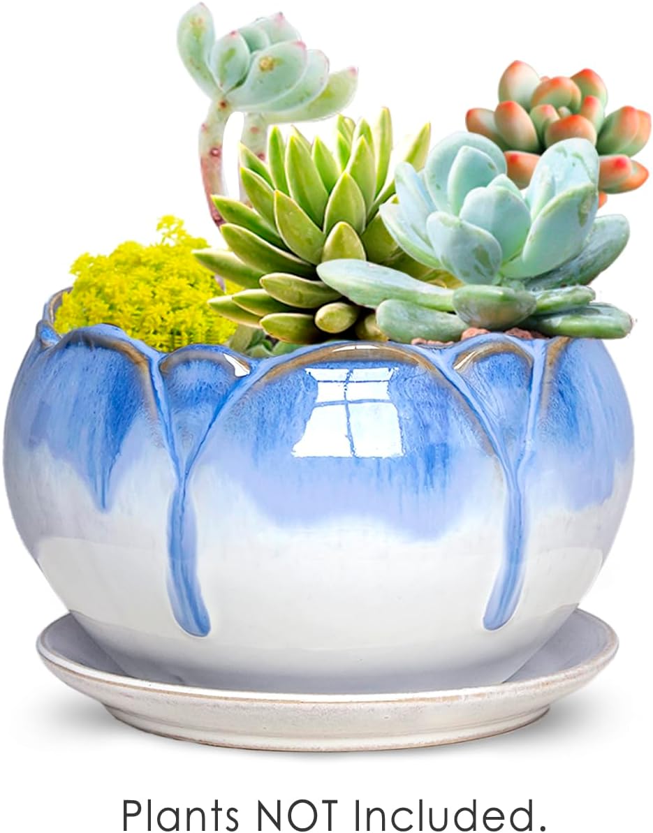 Dahlia 5.5'' Inch Rustic Drip Glazed Ceramic Planter/Succulent Pot/Plant Pot w. Saucer/Tray, White