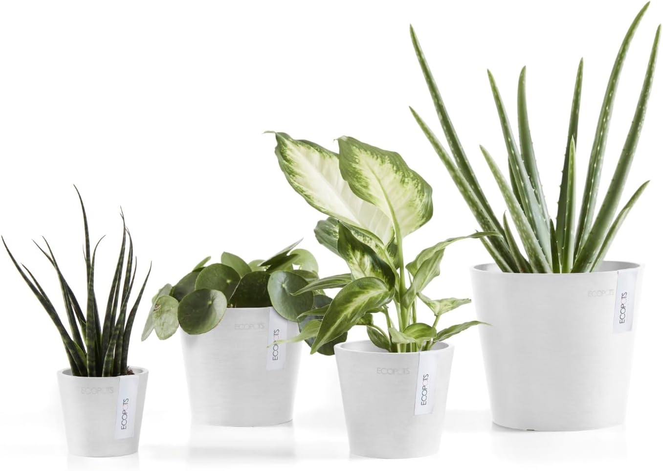 Ecopots Amsterdam Mini Durable Modern Round Recycled-Based Composite Flower Pot Planter, Pure White, 5"