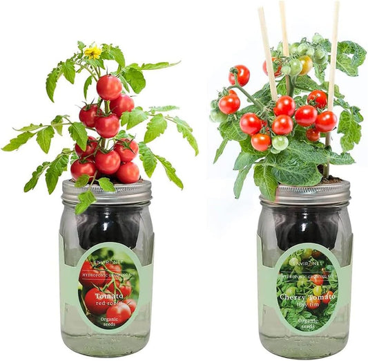 2-Pack Hydroponic Mason Jar Herb Garden Kit, Indoor Herb Garden Self-Watering Starter Kit (Cherry Tomato,Red Robin Tmato)