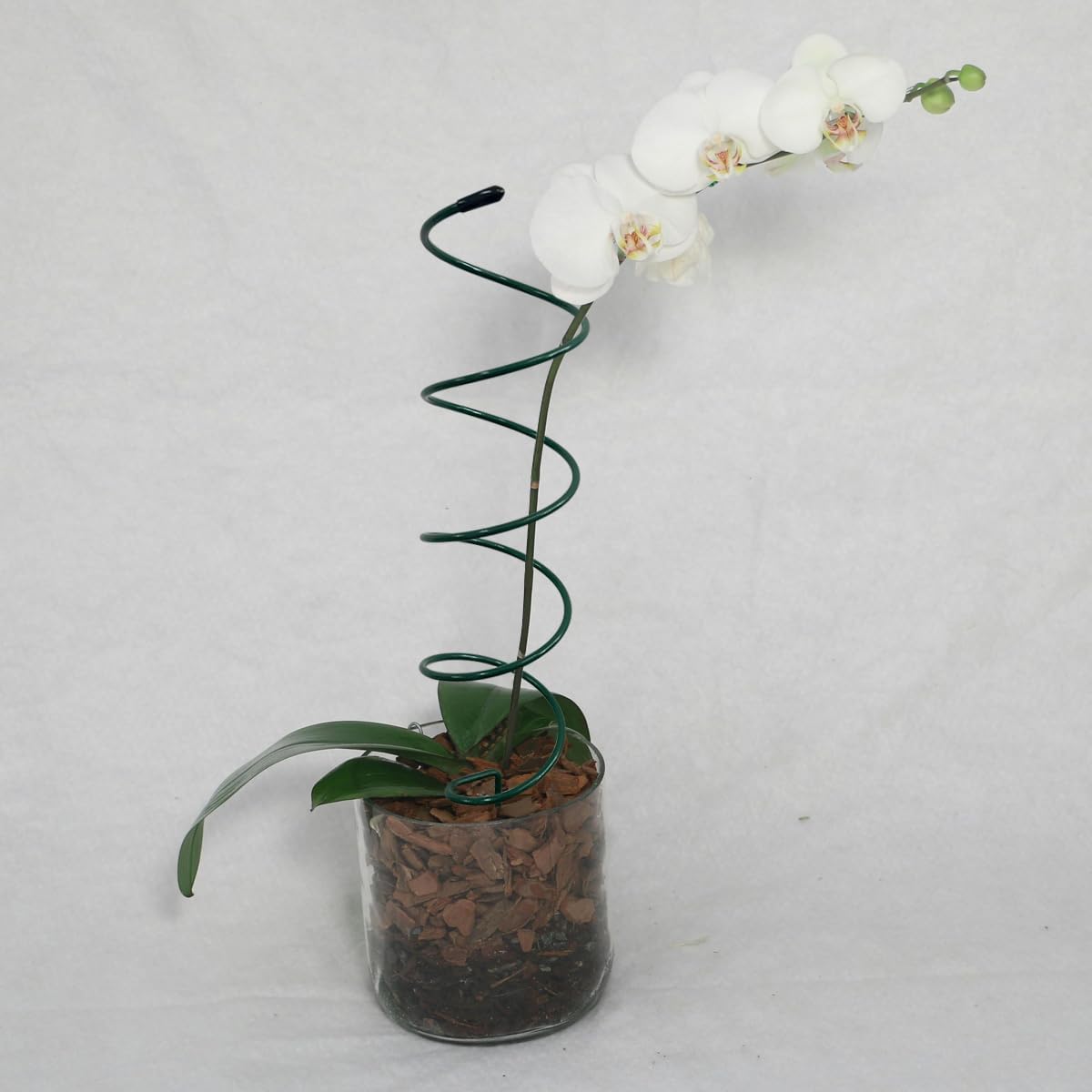 4Pack Spiral Tomato Stakes Plant Trellis ，Indoor Metal Wire Garden Trellis ，Small Climbing Leaf Shape Trellis for Garden Potted Plant