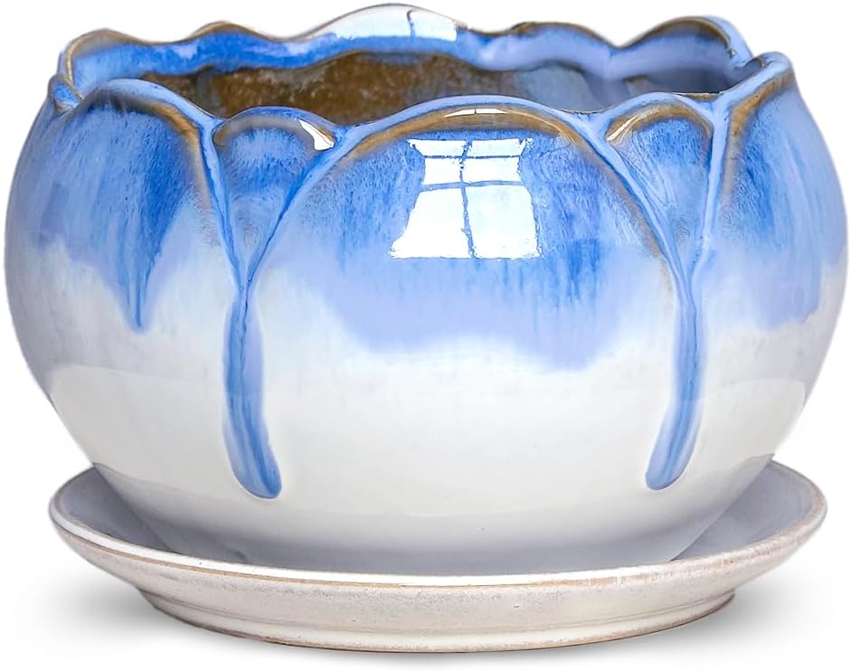 Dahlia 5.5'' Inch Rustic Drip Glazed Ceramic Planter/Succulent Pot/Plant Pot w. Saucer/Tray, White