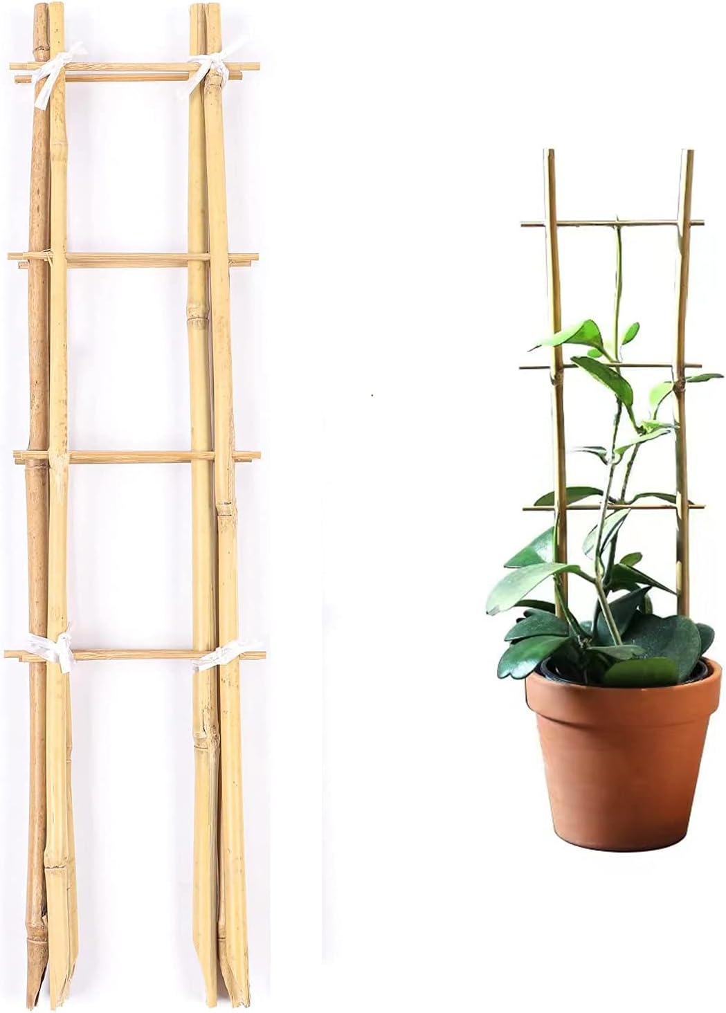 24 Inch Trellis for Potted Plants, 3 Pack Bamboo Trellis Indoor, Natural Garden Trellis for Climbing Plant Monstera Hoya Vegetables and Fruits