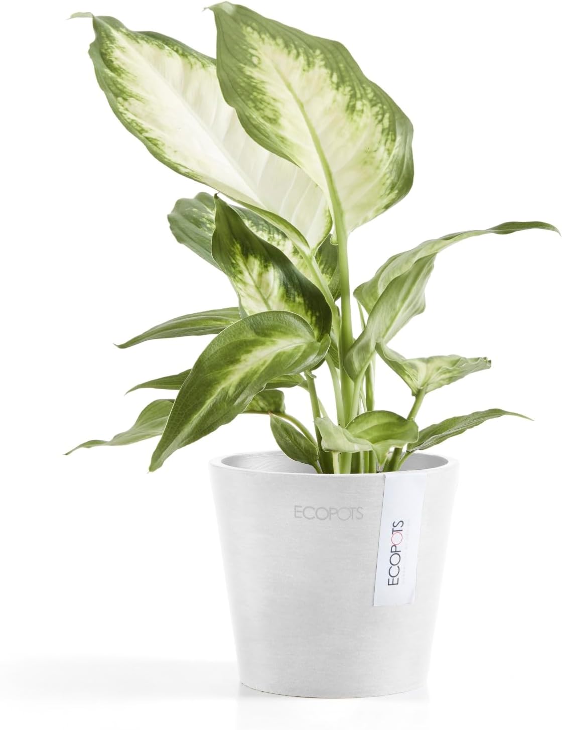 Ecopots Amsterdam Mini Durable Modern Round Recycled-Based Composite Flower Pot Planter, Pure White, 4"