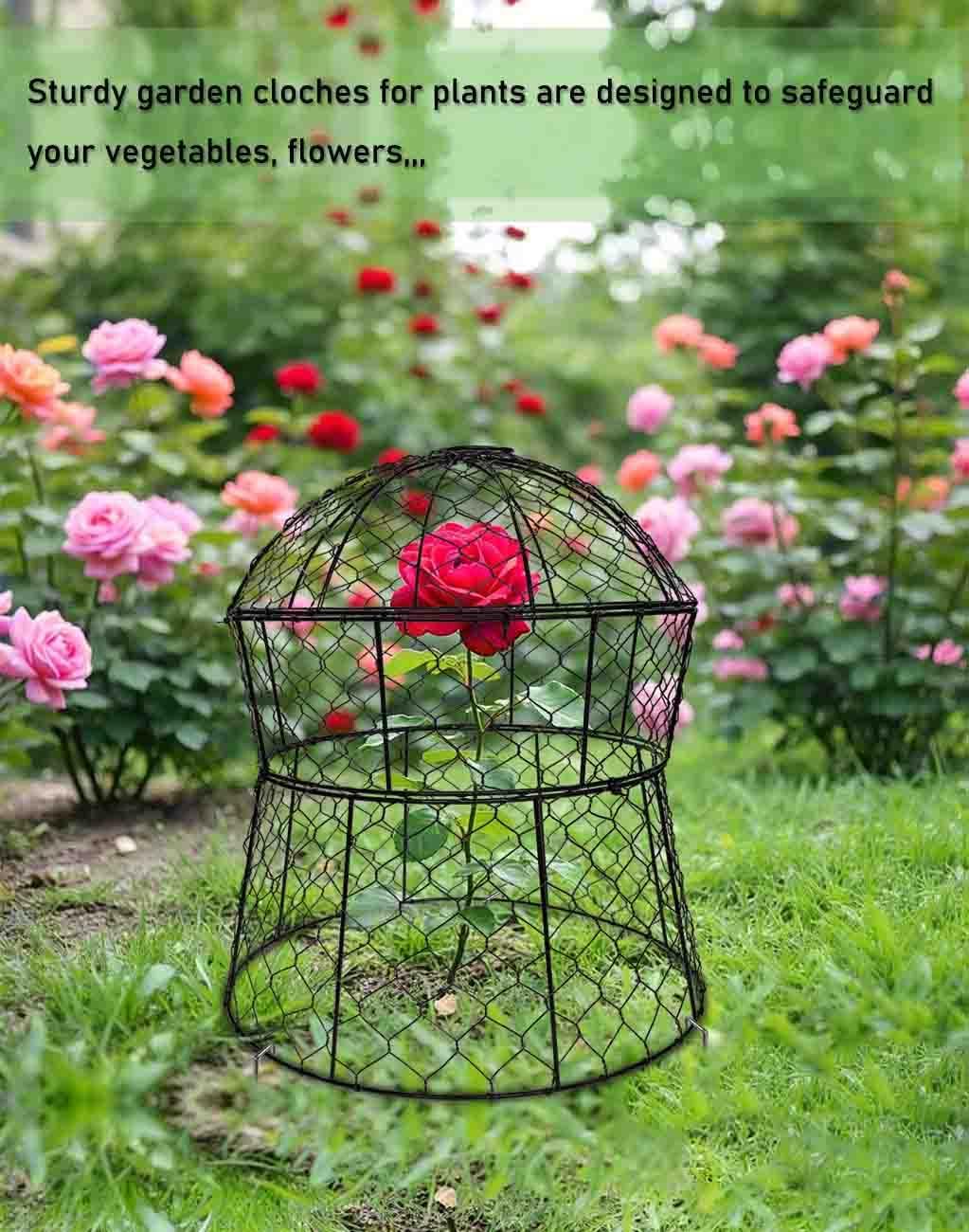 Garden Cloches for Plants 2 Pack Metal Plant Protectors from Animals Chicken Wire Cloche Updated Plant Cages for Outdoor Plants Vegetables Seedlings 13" D x 14" H