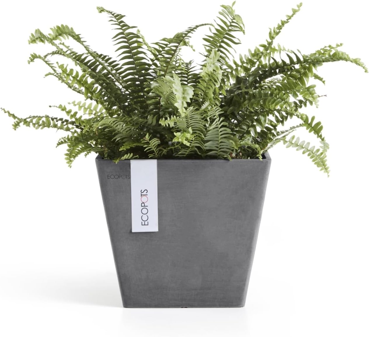 Ecopots Rotterdam Durable Modern Square Indoor/Outdoor Recycled-Based Composite Flower Planter, Grey, 8"