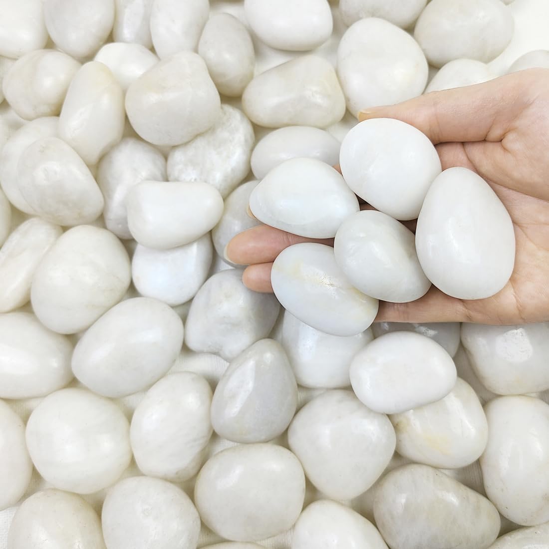 20 lbs White River Rocks, 1-2 inch Polished Pebbles for Indoor Plants, Decorative White Stones for Planters, Vase, Aquarium, Fish Tank, Landscaping and Garden