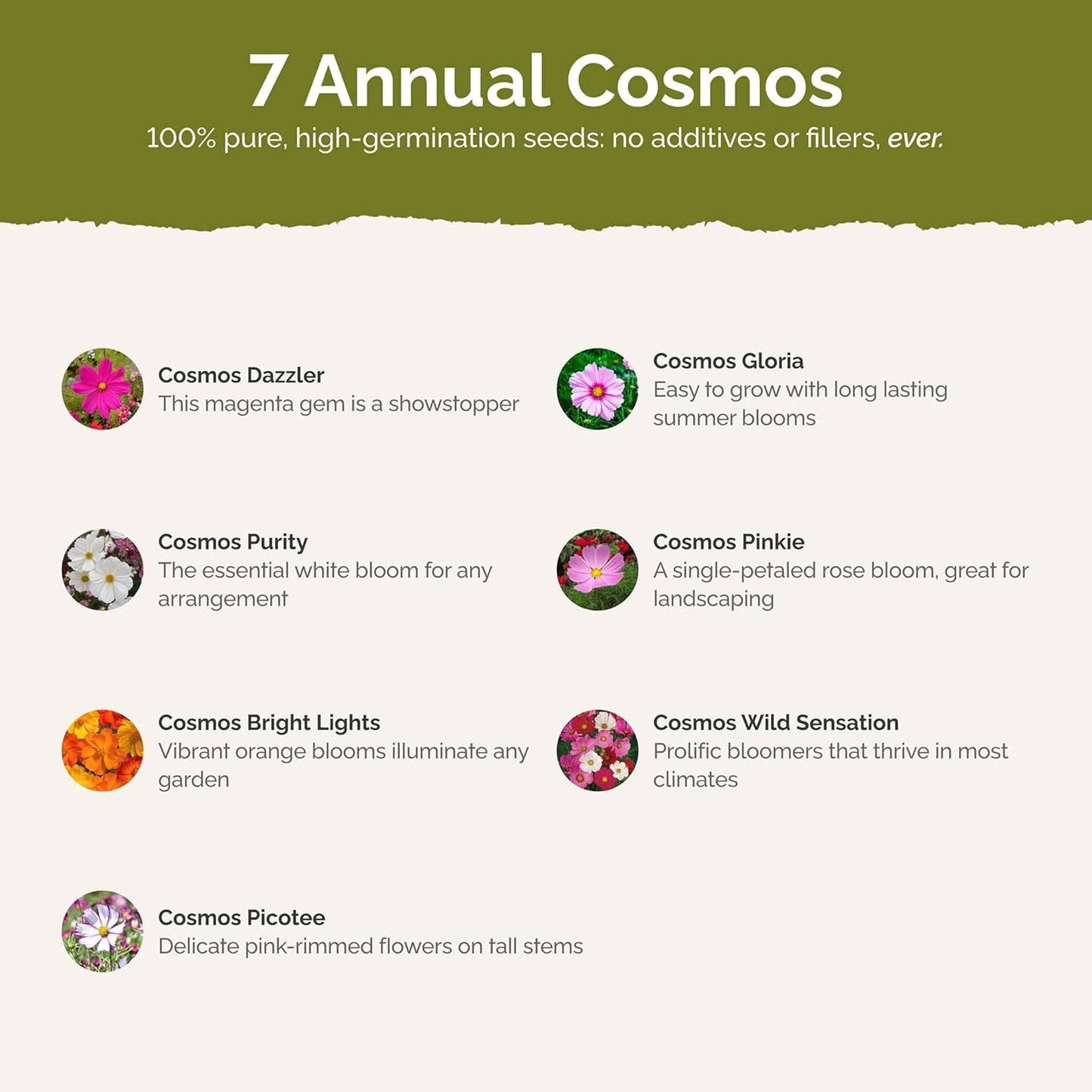 Eden Brothers Crazy for Cosmos Flower Mixed Seeds for Planting, 50 lb, 24,000,000+ Seeds with Cosmos Gloria, Pinkie, Purity, Attracts Pollinators, Plant in Spring or Fall, Zone 3, 4, 5, 6, 7, 8, 9, 10