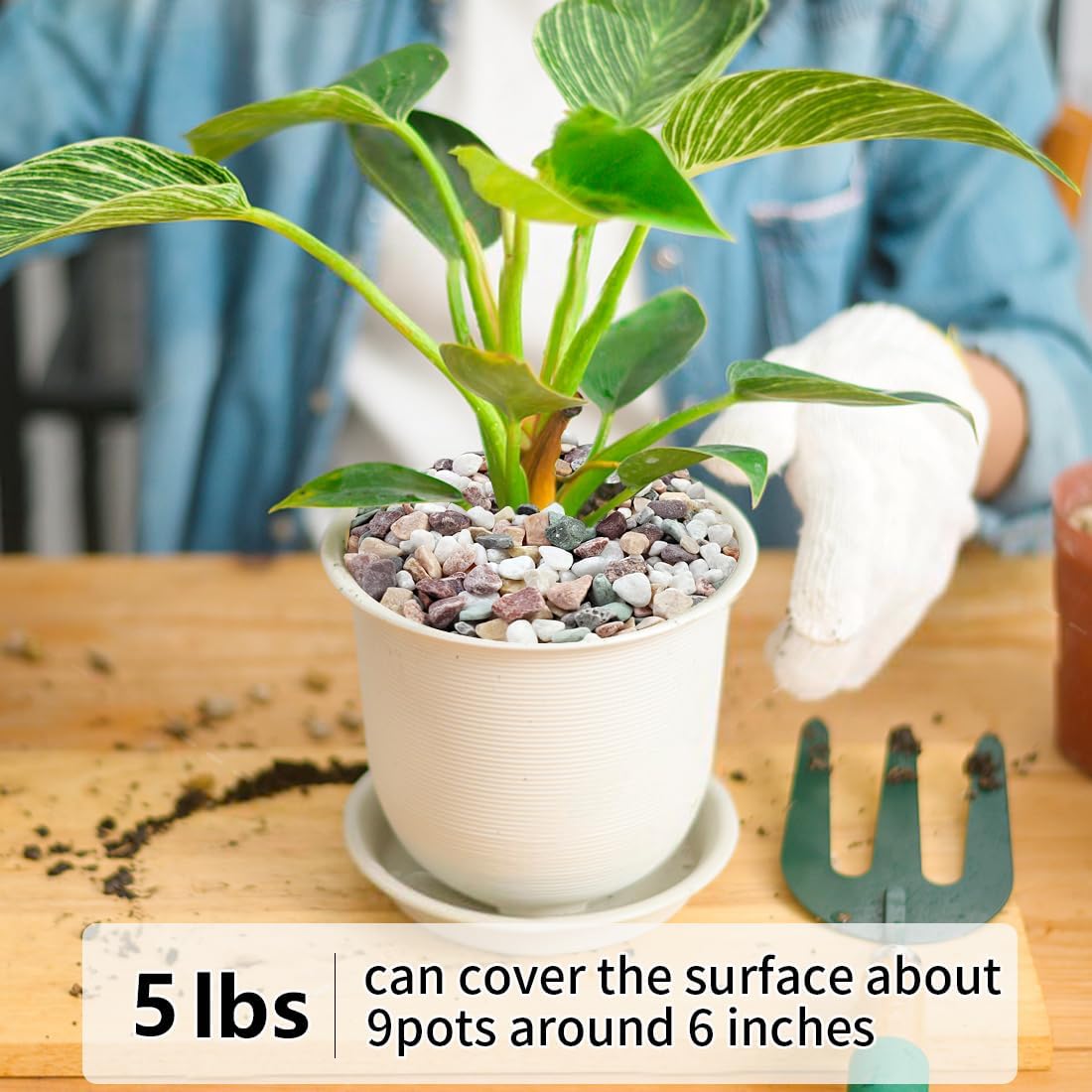 5LB Succulent and Cactus Gravel Pebbles, 1/5 Inch Natural Decorative Polished Stones, River Rocks for Vases Gardening Indoor and Outdoor Decorative Rocks, Colorful