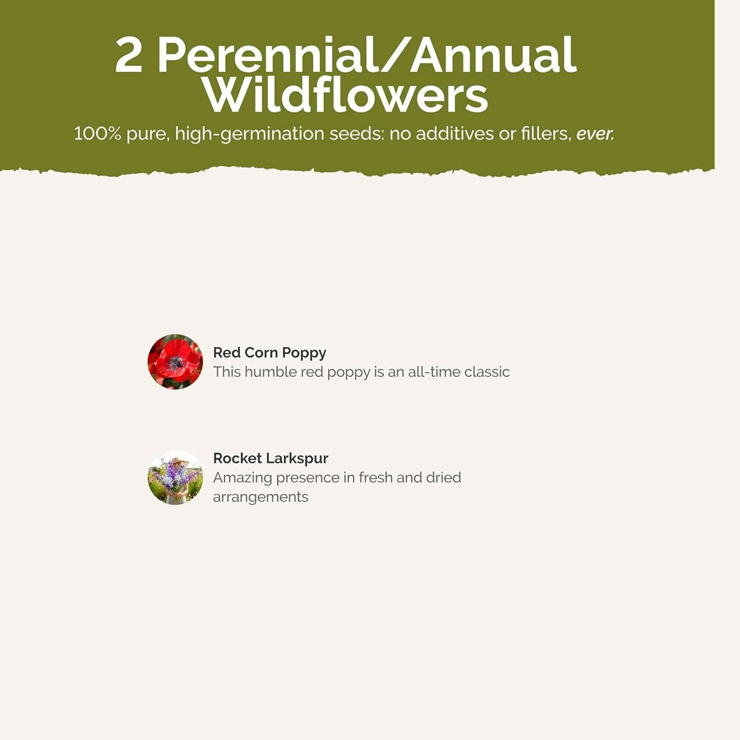 Eden Brothers Power Couple Flower Mixed Seeds for Planting, 1 lb, 480,000+ Seeds with Rocket Larkspur, Bupleurum | Attracts Pollinators, Plant in Spring or Fall, Zones 3, 4, 5, 6, 7, 8, 9, 10