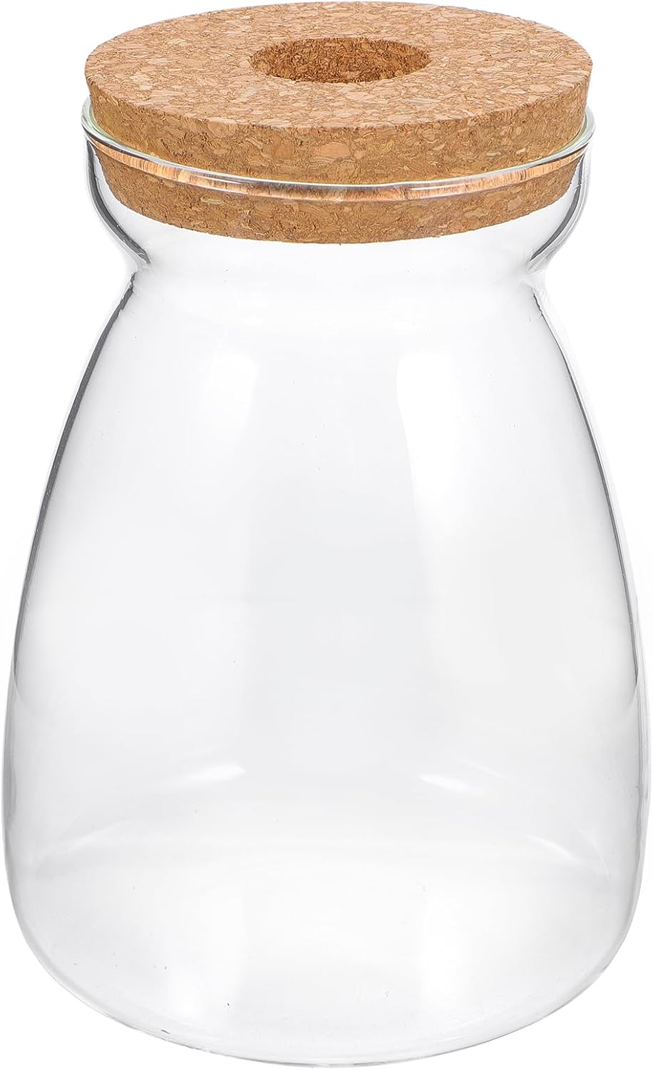 Glass Plant Jar -Plants Propagation Station - Micro Landscape Terrarium Container Desktop Plant Jar Hydroponic Vases Gardening for Plant Lovers(Size L)