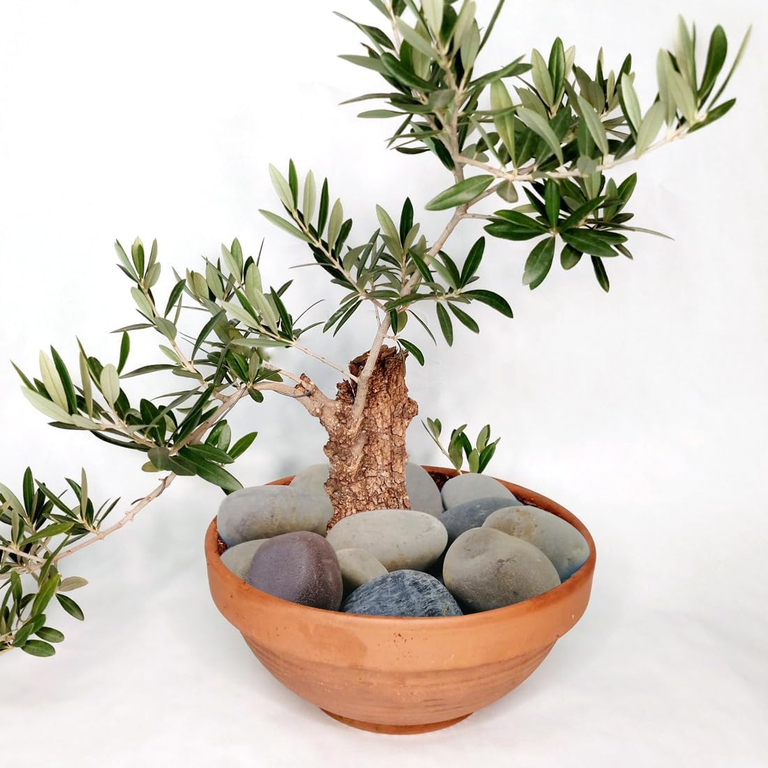 20lbs Natural River Rocks, 3"-4" Premium Pebbles for Garden and Landscape Design, Hand-Picked Smooth Stones for Fish Tank, Flower Pots, Indoor Water Fountains, Pathways, Backyard