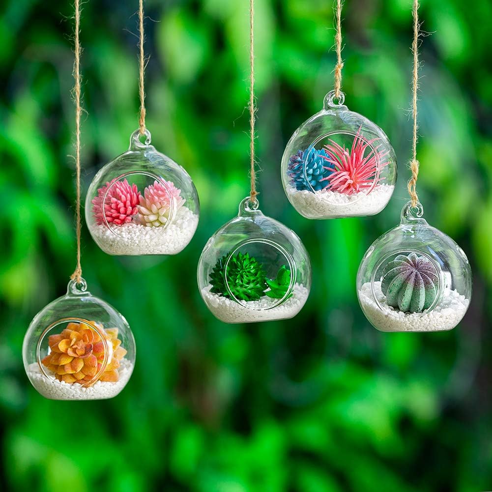 12 Pcs 3.15"/ 8cm Hanging Glass Tealight Holder Globe Plant Terrariums Glass Orbs Air Plants Tea Light Candle Holders Home Decor Indoor Outdoor Garden (with 2 Holes, 9 Pcs + 3 Pcs)