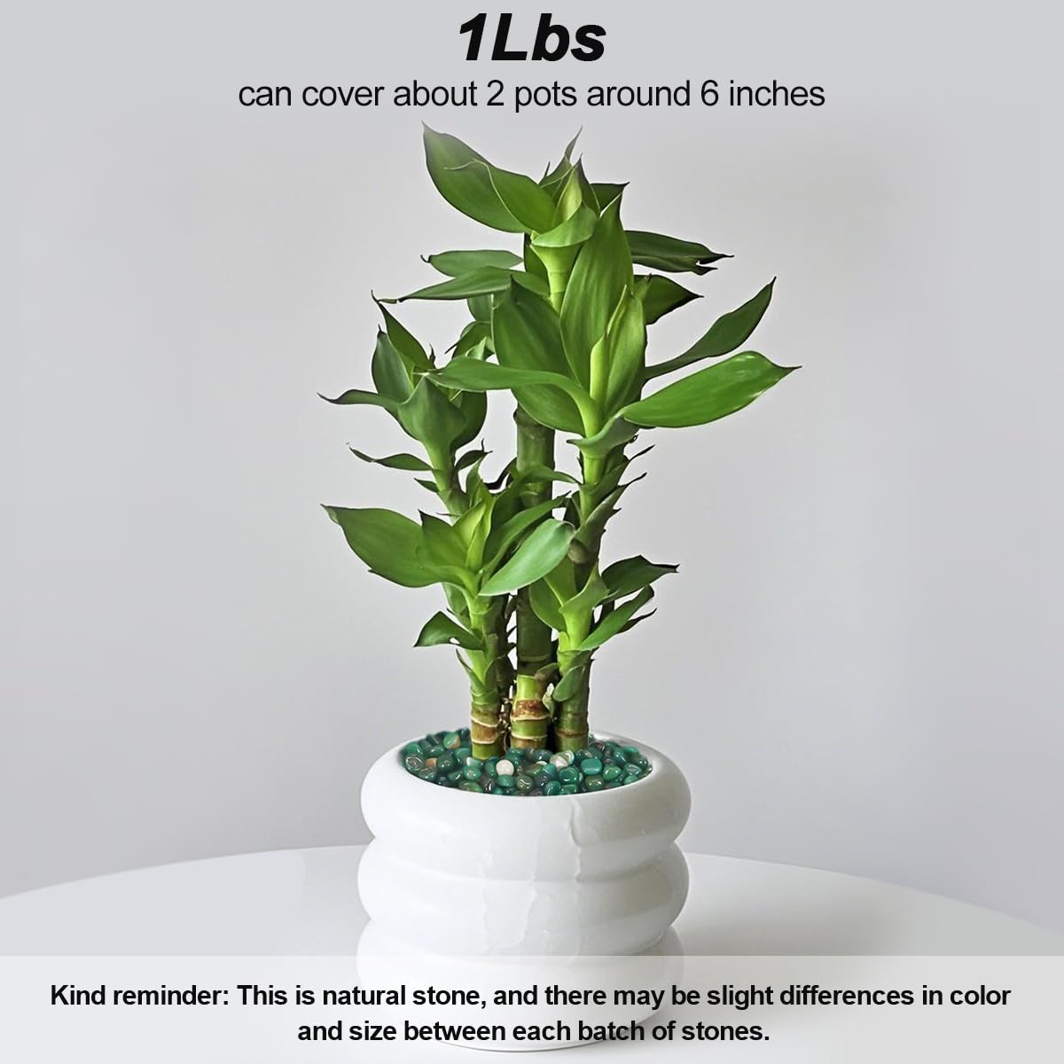 Rocks for Plants Indoor,Landscaping Pebbles, River Rocks Decorative Ornamental Pebbles Garden Landscaping Stones, DIY Smoothed Rocks for Potted Plant Resin Art Vase Fillers Aquarium Gravel Rocks