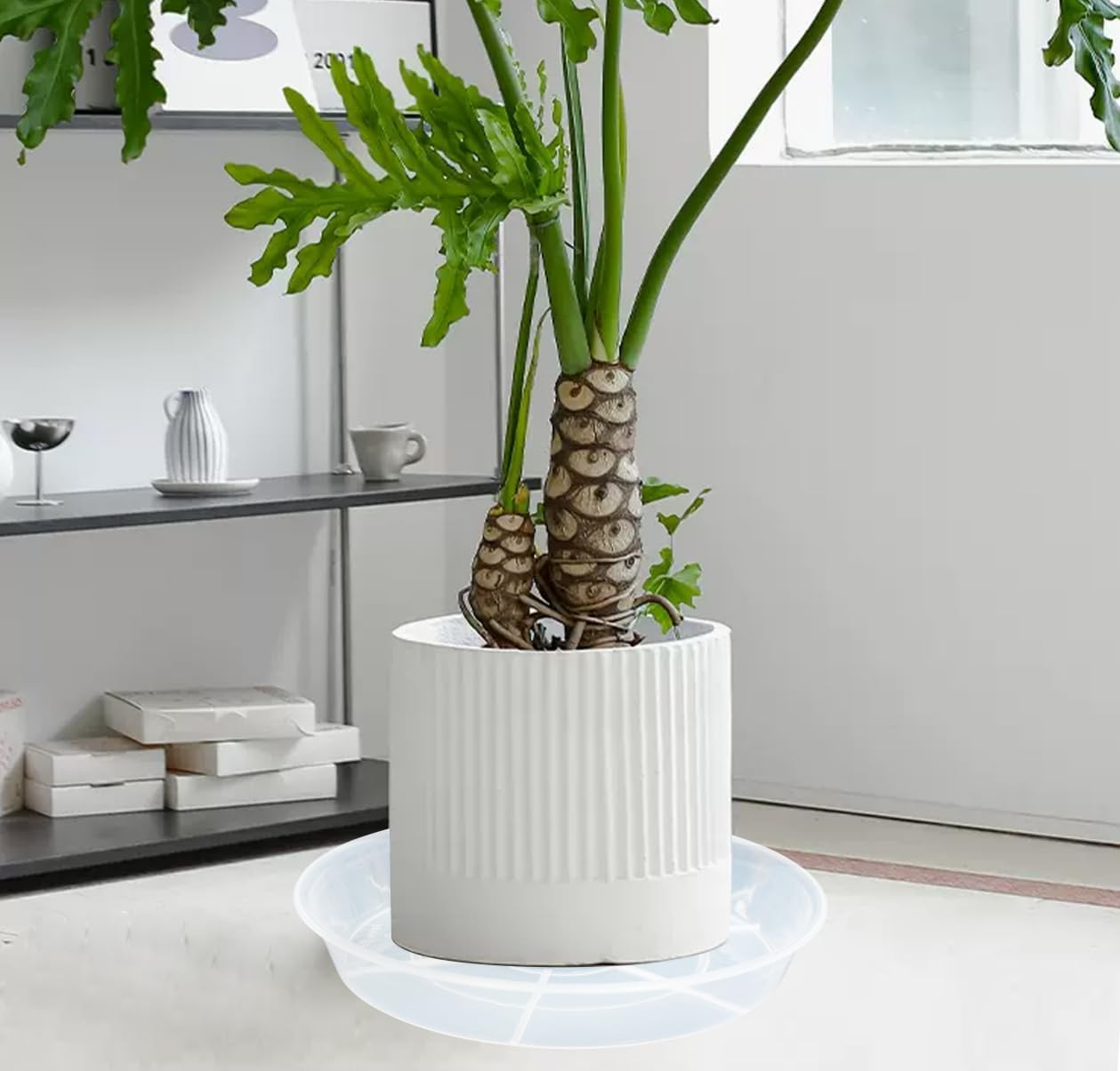 2 Pack of 19 inch Plant Saucer, 2.7" Depth Tray, Large Deep Garden Plastic Flower Planter Plant Trays for Indoors Outdoor Bath Bath (19", Clear)