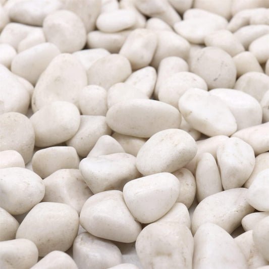 White Rocks for Plants. White Decorative Polished Pebbles. 1 to 2 Inch – 10lbs for Plants, Garden, Succulents, pots, Plants (MD (1 to 2 Inch), White - Lightly Polished, 10)
