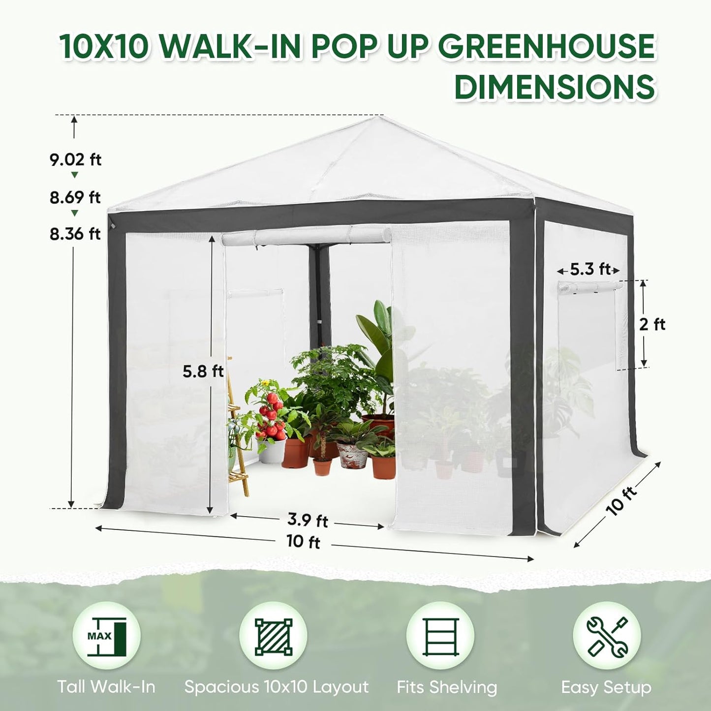 EAGLE PEAK 10x10 Portable Walk in Greenhouse with Polyester Reinforced Corners, Instant Pop up Indoor Outdoor Gardening Green House, Roll Up Zipper Entry Doors and Mesh Windows, Gray/White