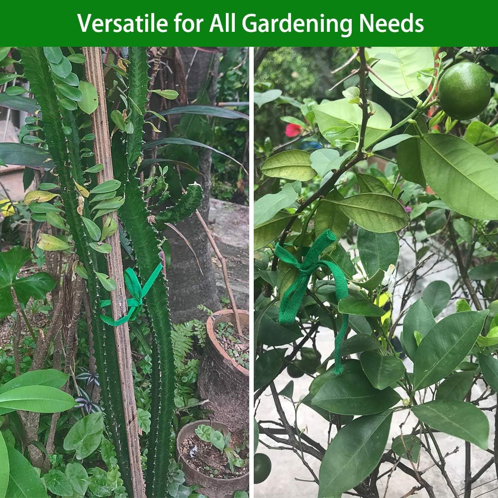 Plant Ties, 164 Feet 8mm Green Garden Twine Soft Garden String Stretchy Tree Supports Biodegradable for Tomato Plants, Climbing Roses and Vines Organizing