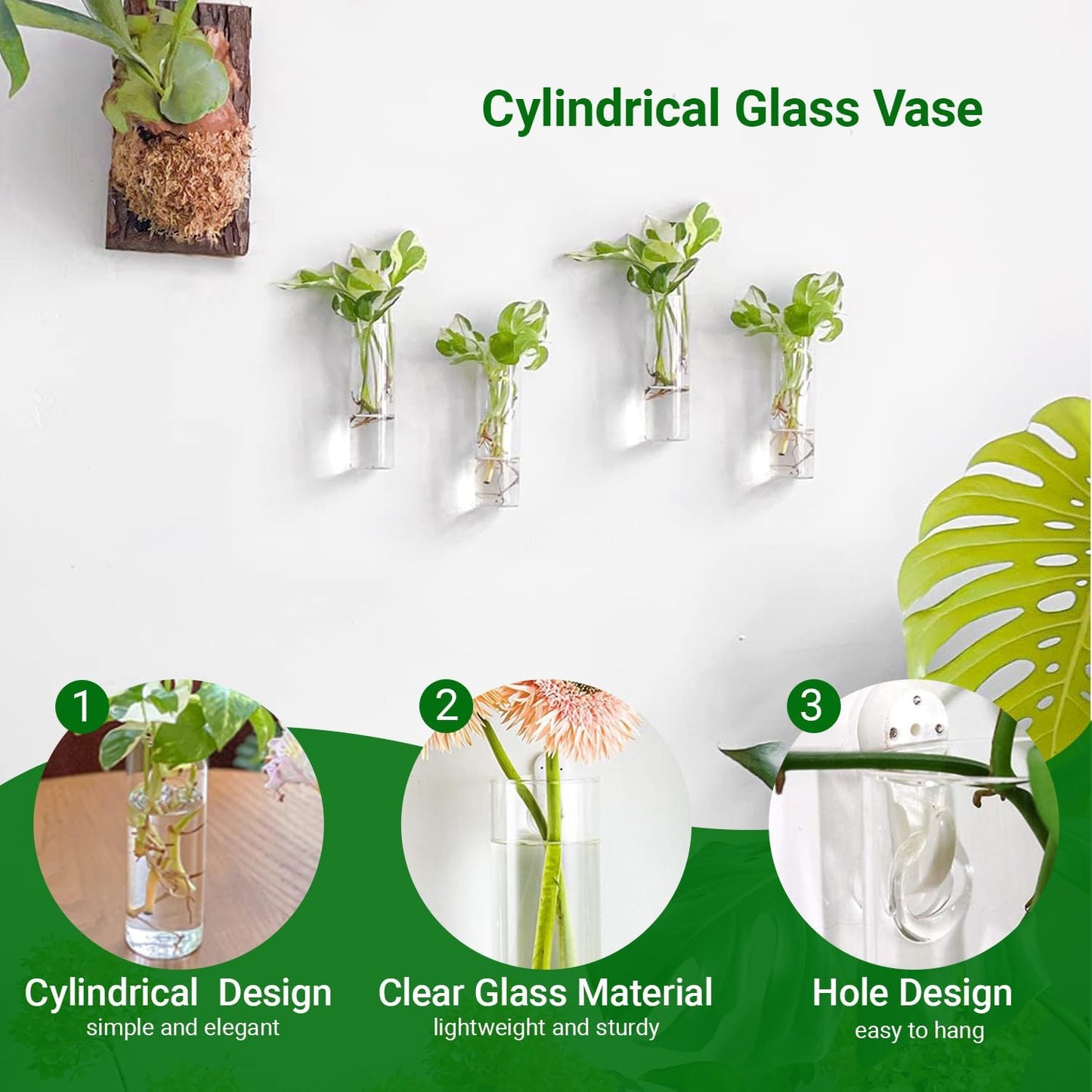 Ivolador Wall Plant Propagation Station Hanging Glass Planter Vase Terrarium Container Cylinder Shape Perfect for Propagating Hydroponic Plants Home Office Garden Decor Wedding-4PCS