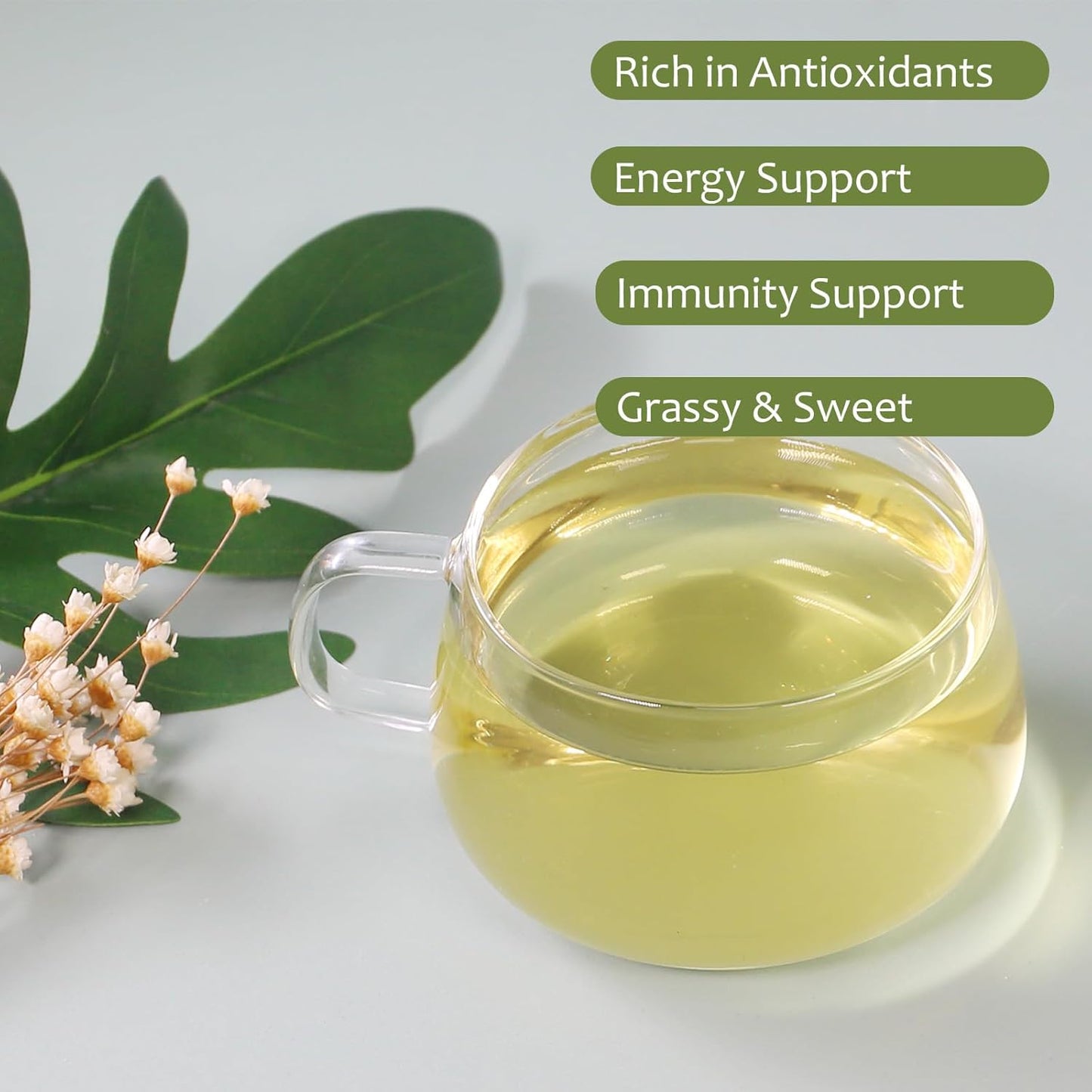 FullChea - Premium Gynostemma Tea Jiaogulan Loose Leaf Tea Herbal Tea - Non-GMO, Sulfur-free, Caffeine-free - Enhance Immunity - 4oz/114g