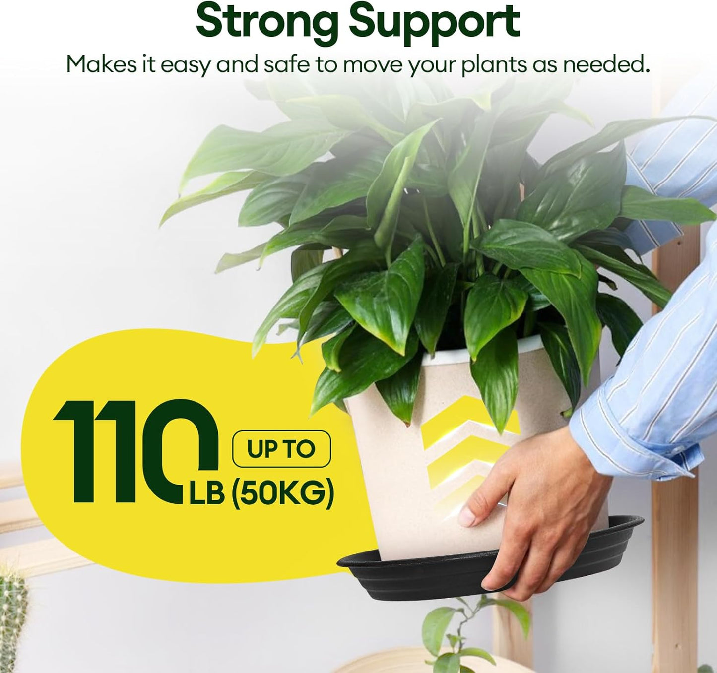 4 Pack Plant Saucer, 8 10 12 inch Plant Saucers for Indoor, Heavy Duty Plastic Plant Trays for pots, Grow Bags, Bird Baths, Flower Drip Trays for Indoor and Outdoor Uses (8", 4 Colors)