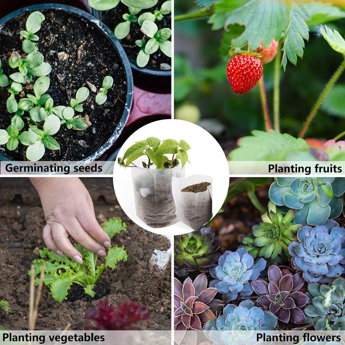 200Pcs Nursery Growing Bags,Non-Woven Fabric Seedlings Grow Bag for High Seedling Survival Rate,Plant Bags for Planting,Garden Seed Starters Pouch Small（4.2"x4.2"）