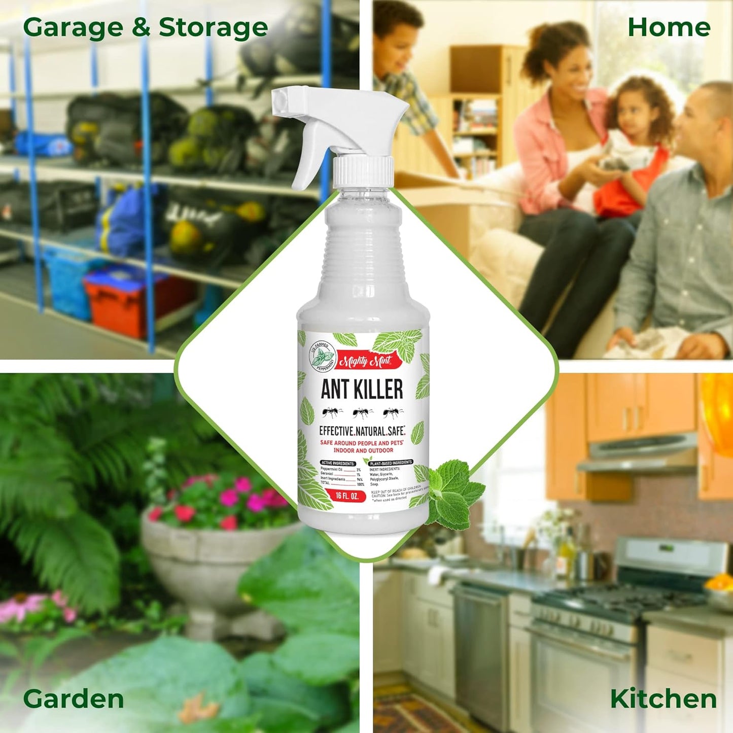 Mighty Mint Peppermint Oil Ant Killer Spray – Natural Ant Repellent for Indoor & Outdoor Use – Plant-Based Insect & Pest Control – 16 oz